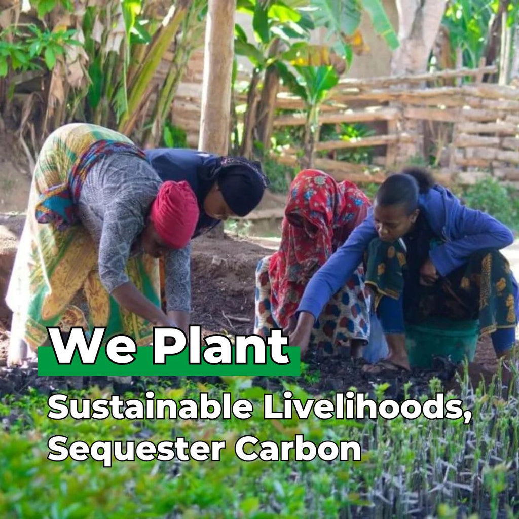 Keep going, keep growing - Plants 50 Trees