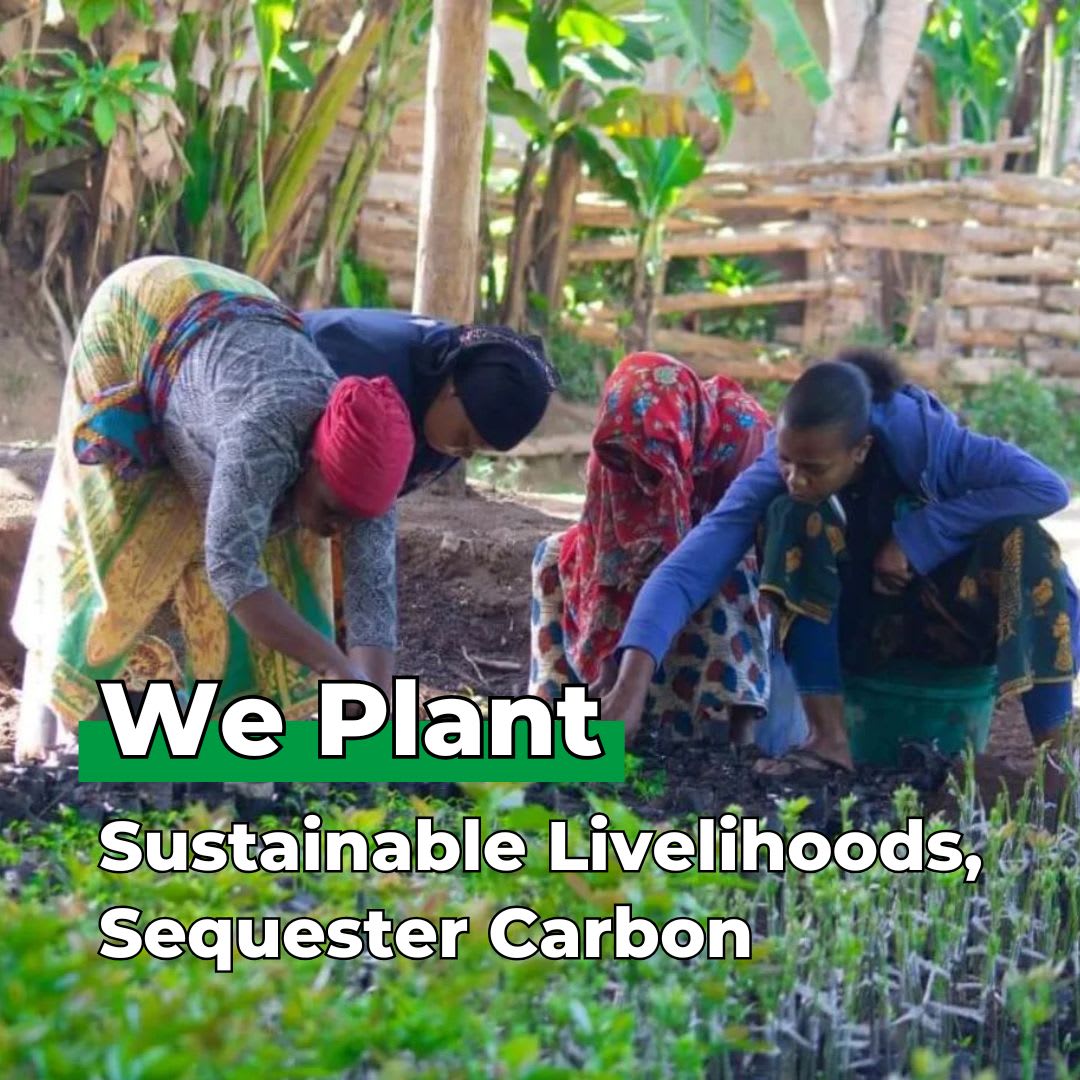 Keep going, keep growing - Plants 50 Trees