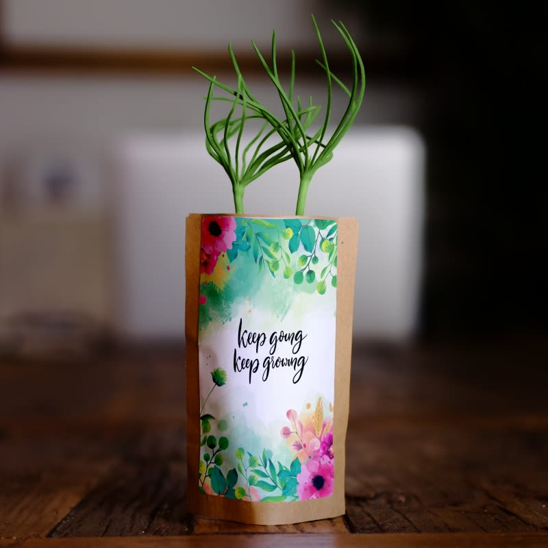 Keep going, keep growing - Plants 50 Trees